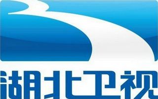 Hubei TV Logo