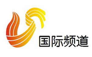 Shandong International Channel Logo