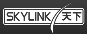 SKY LINK TV Logo