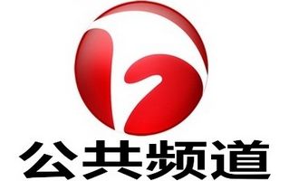 Anhui Public Channel Logo