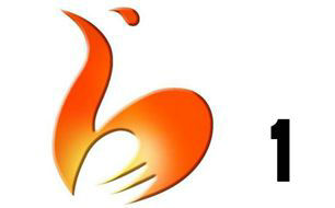Baoji News Channel Logo