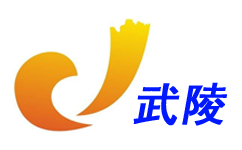 Changde Wuling Channel Logo