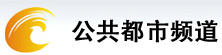 Chenzhou Public City Channel Logo