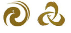 Dehong News Channel Logo