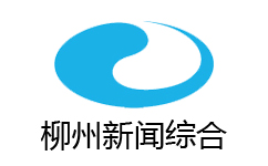 Liuzhou News Comprehensive Channel Logo