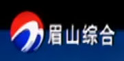 Meishan News Channel Logo