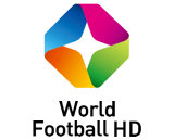 ST WORLD FOOTBALL Logo