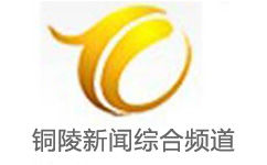 Tongling News Integrated Channel Logo
