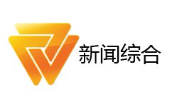 Weifang News Channel Logo