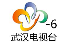 Wuhan Foreign Language Channel