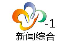 Wuhan News Comprehensive Channel