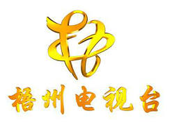 Wuzhou Public Channel Logo
