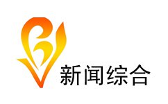 Zibo News Channel Logo