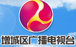 Zengcheng News Channel Logo