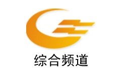 Zigong News Channel Logo